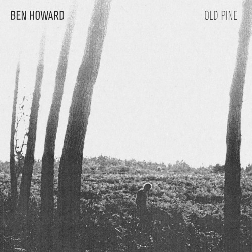 Old Pine封面