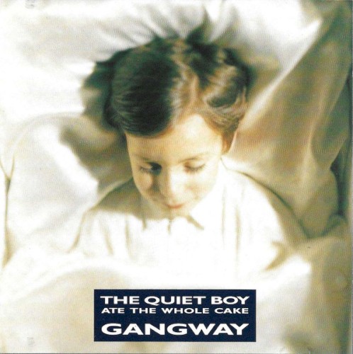 The Quiet Boy Ate the Whole Cake封面