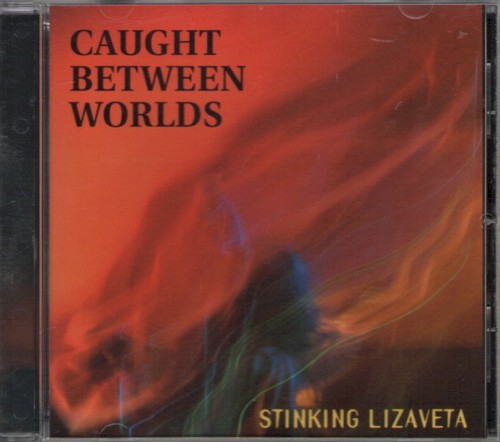 Caught Between Worlds封面