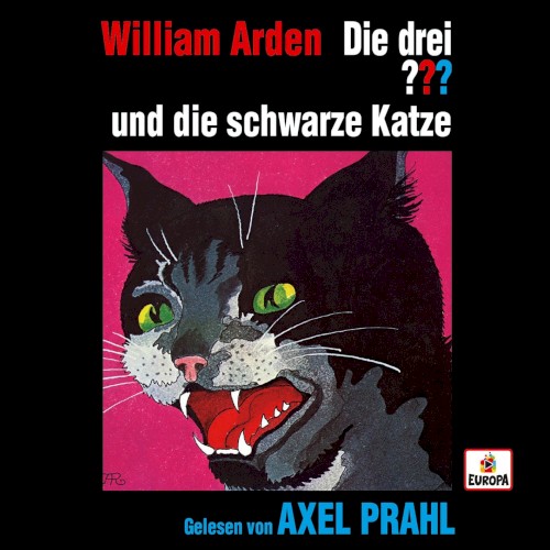 Die drei ??? und die schwarze Katze封面