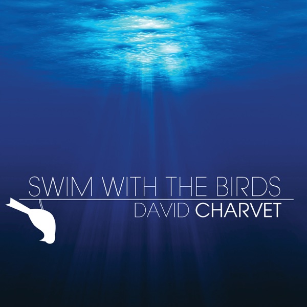 Swim With the Birds封面