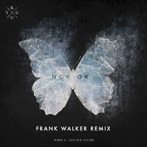 Not Ok (Frank Walker remix)封面