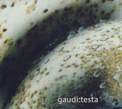 Gaudi:Testa 1105封面