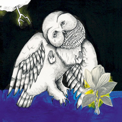 The Magnolia Electric Co.封面