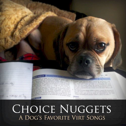 Choice Nuggets: A Dog’s Favorite Virt Songs封面