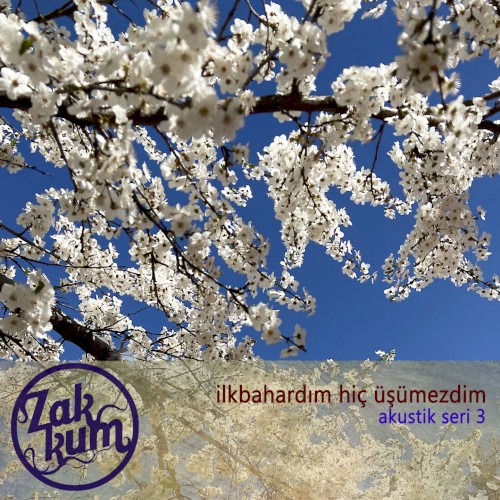 İlkbahardım Hiç Üşümezdim (Akustik Seri 3)封面