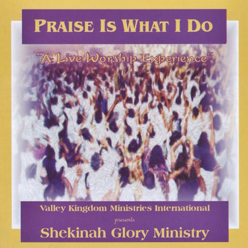 Praise Is What I Do封面