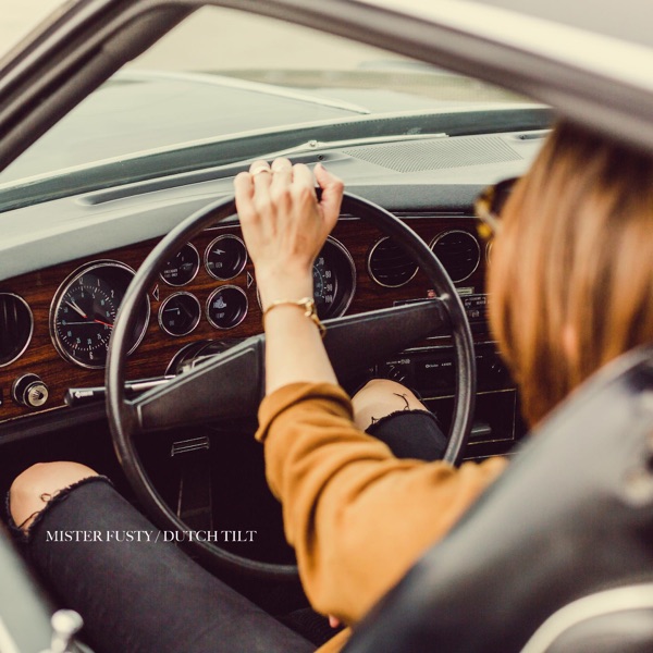 Dutch Tilt封面