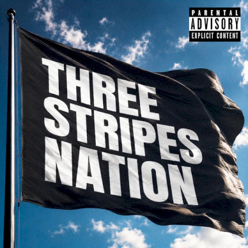 THREE STRIPES NATION封面