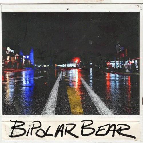 Bipolar Bear封面