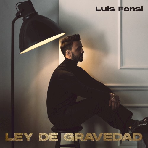 Ley de gravedad封面