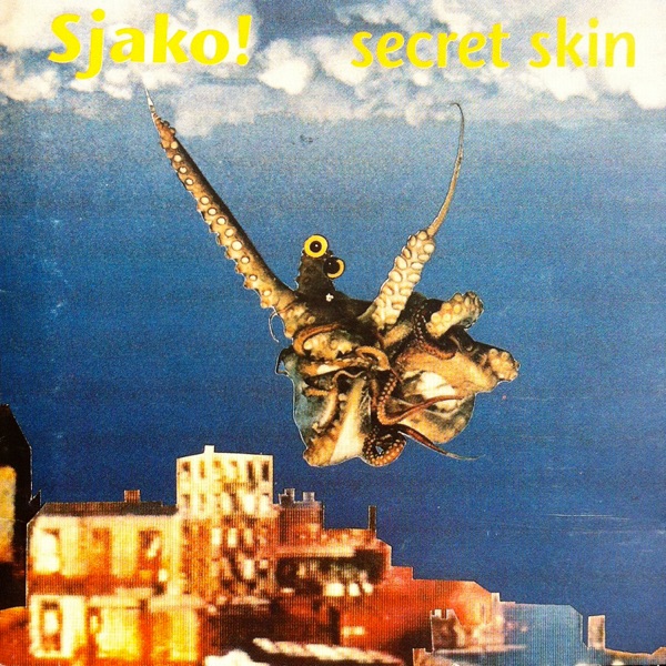 Secret Skin封面