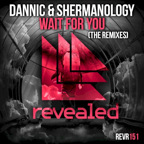Wait for You (The Remixes)封面