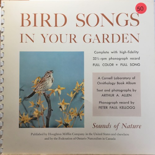 Bird Songs in Your Garden封面