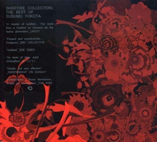 Skintone Collection: The Best of Susumu Yokota封面