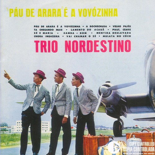 Pau De Arara É A Vovozinha封面