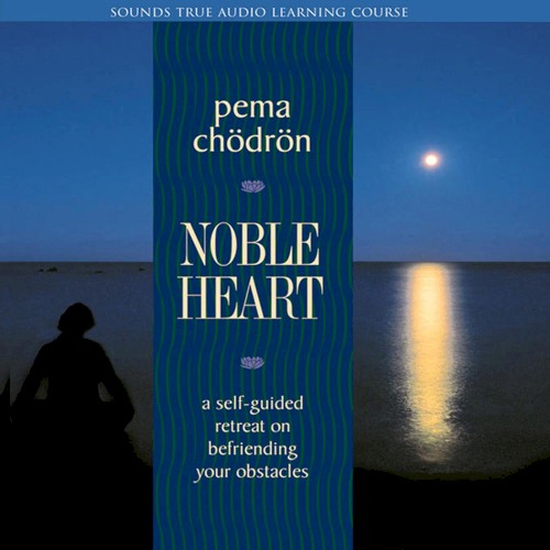 Noble Heart - 12 Session Retreat封面