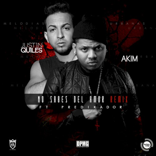 No sabes del amor (remix)封面