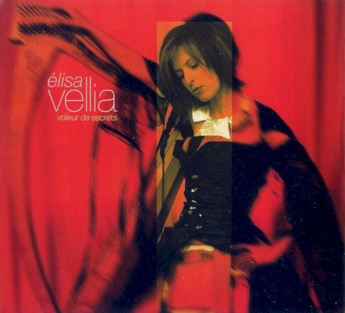 Voleur de secrets封面