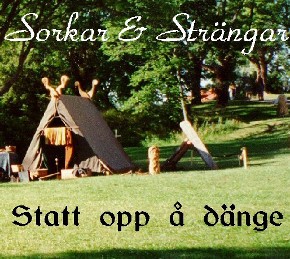 Statt opp å dänge封面