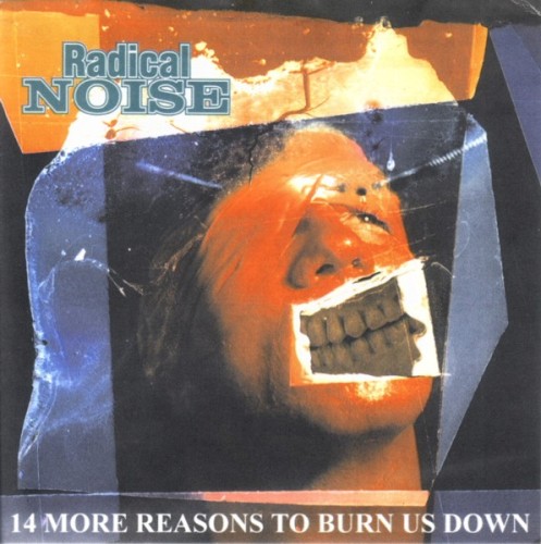 14 More Reasons to Burn Us Down封面