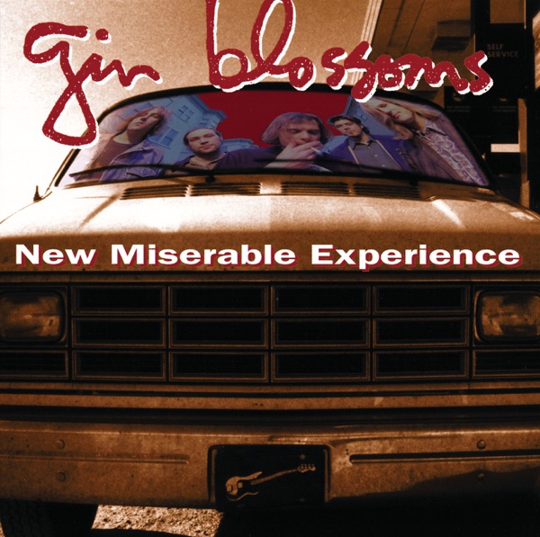 New Miserable Experience封面