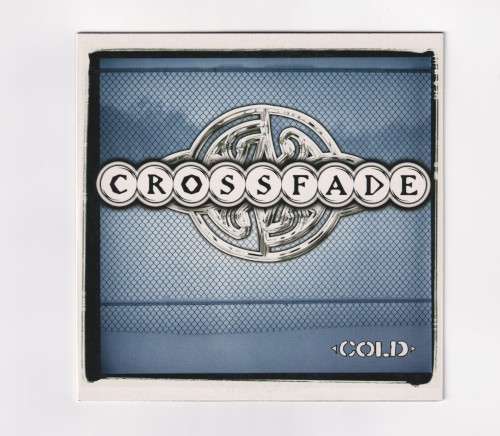 Cold封面