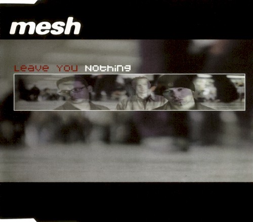 Leave You Nothing封面