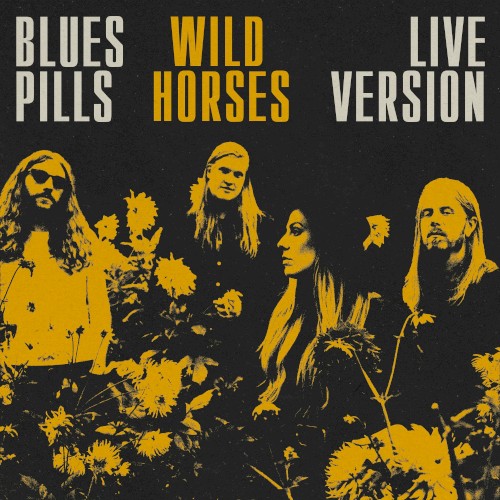 Wild Horses (Live)封面