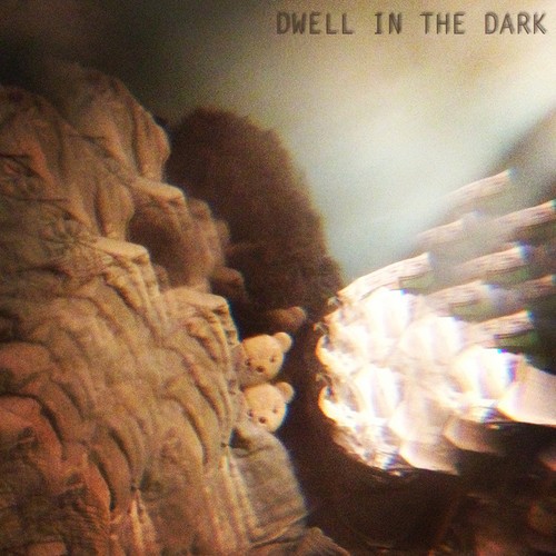 Dwell in the Dark封面