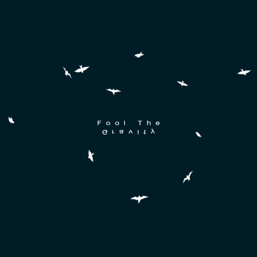 Fool the Gravity封面