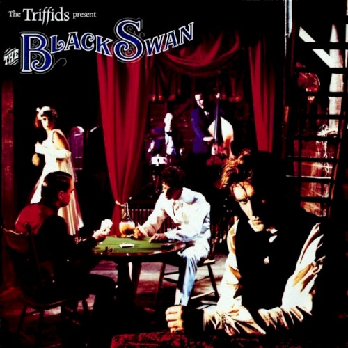 The Black Swan封面