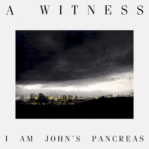 I Am John's Pancreas封面