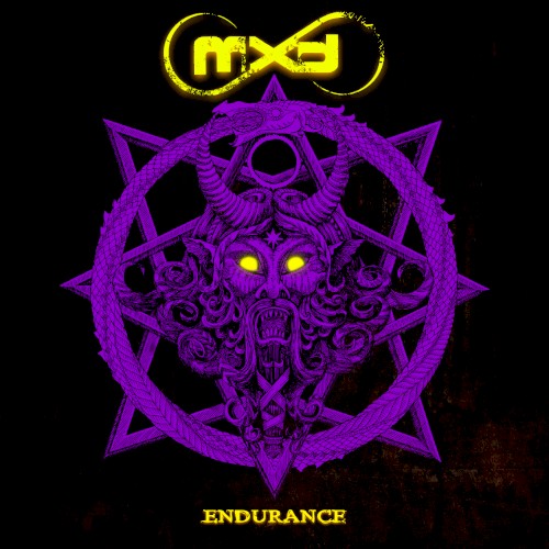 Endurance封面