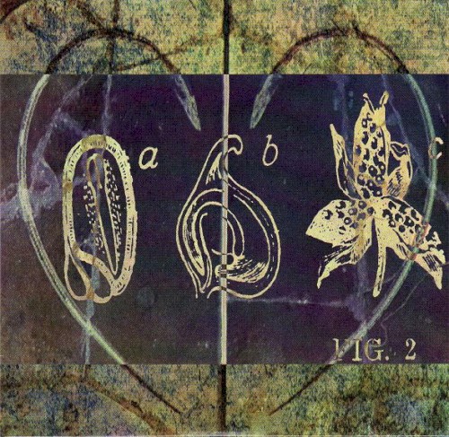 Murmurs Special Release, Volume 1封面