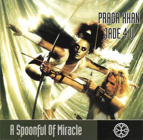 A Spoonful of Miracle封面