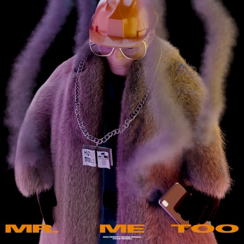 Mr. Me Too封面