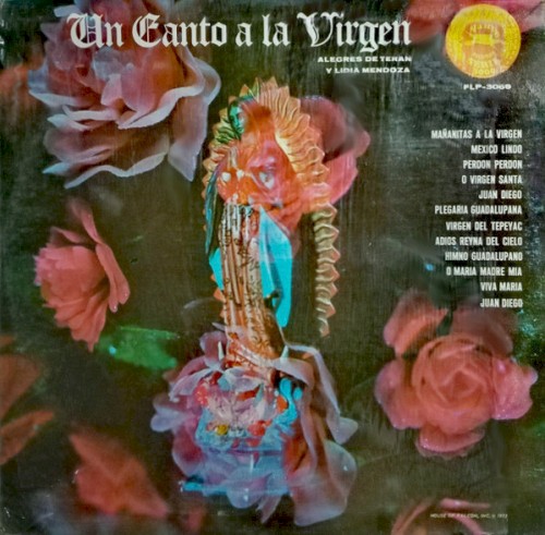 Un canto a la virgin封面