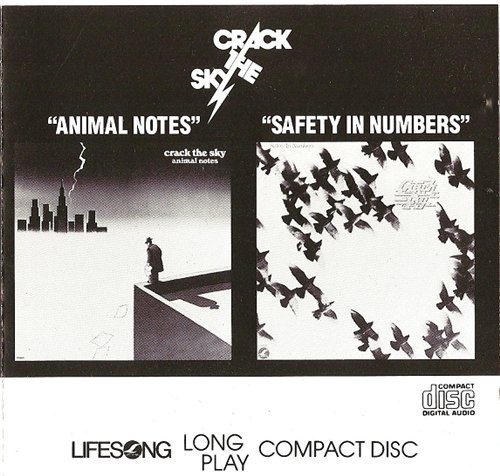 Animal Notes / Safety in Numbers封面