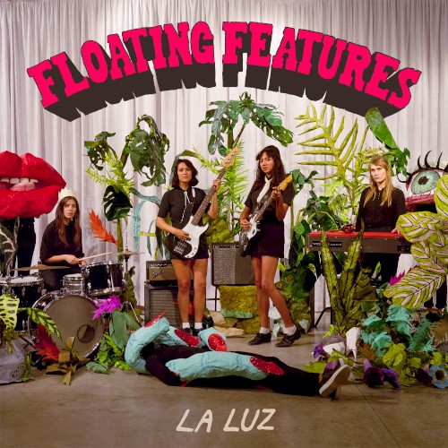 Floating Features封面