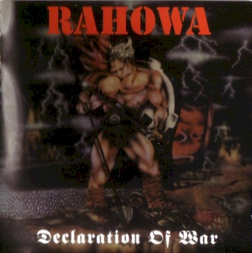 Declaration of War封面