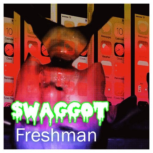 FRESHMAN封面