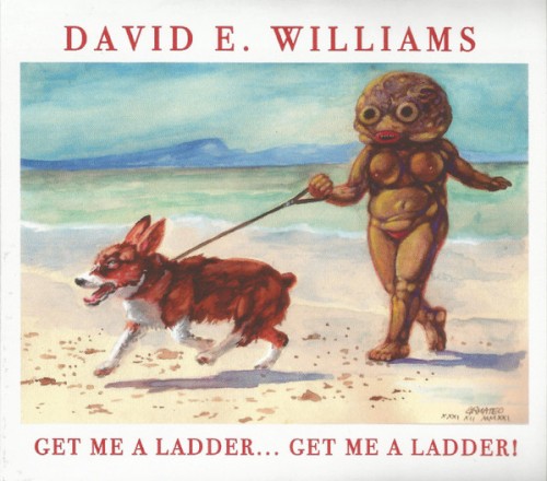 Get Me A Ladder... Get Me A Ladder!封面