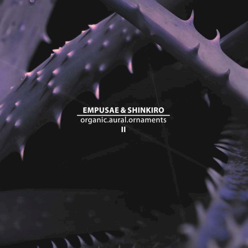 Organic.Aural.Ornaments II封面