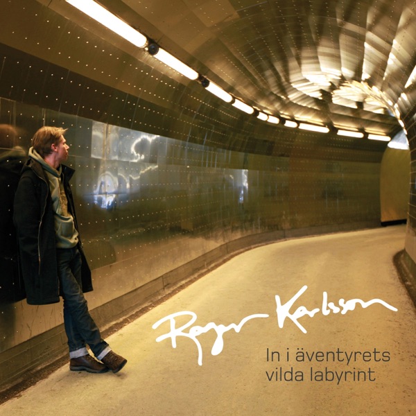In i äventyrets vilda labyrint封面