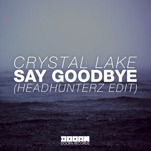 Say Goodbye (Headhunterz radio edit)封面