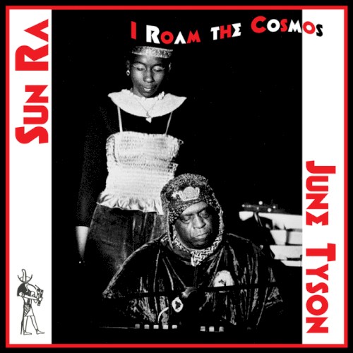 I Roam the Cosmos封面