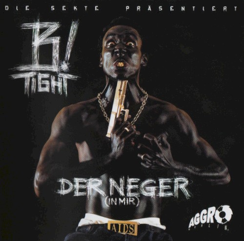 Der Neger (in mir)封面
