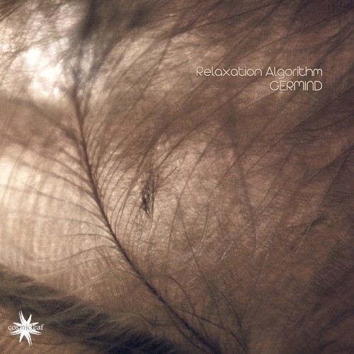 Relaxation Algorithm封面