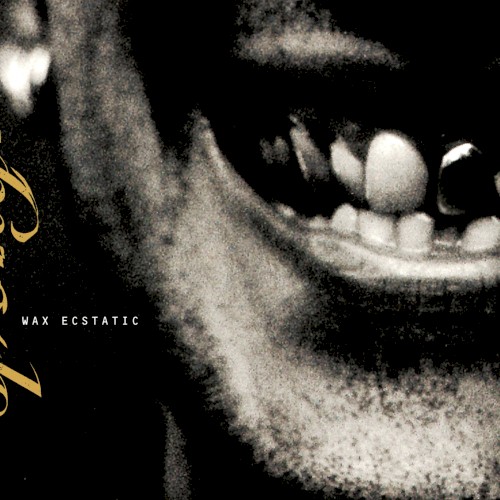 Wax Ecstatic封面